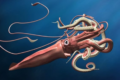 Il calamaro gigante, terrore dei mari